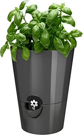 Emsa Fresh Herbs granit