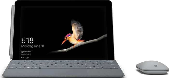 Microsoft Surface Go, Pentium Gold 4415Y, 4GB RAM, 64GB, Signature Type Cover Platin