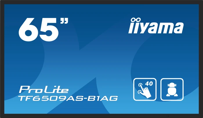 iiyama ProLite TF6539AS-B1AG, 65"