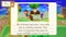 Animal Crossing: amiibo Festival (WiiU) Vorschaubild