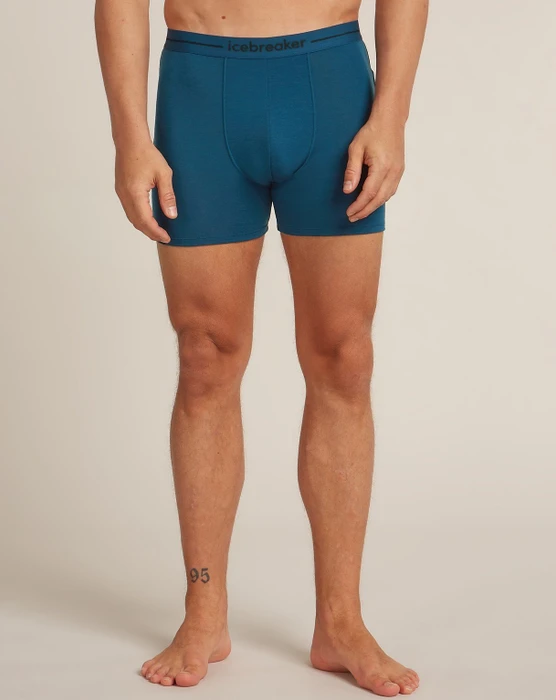 Icebreaker Anatomica Boxer Briefs atlantis (Herren)
