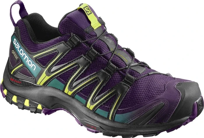 Salomon XA Pro 3D GTX acai/black/dynasty green (Damen)