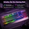TeckNet RGB Gaming Keyboard, schwarz, LEDs RGB, USB, DE Vorschaubild