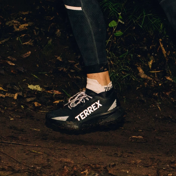 adidas Terrex Agravic GTX Trail core black/silver dawn/grey two (Damen)