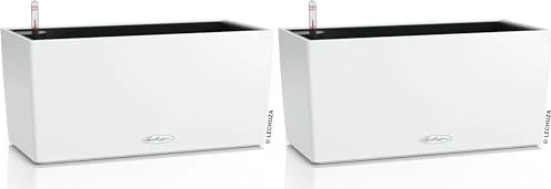 Lechuza Balconera Color 40