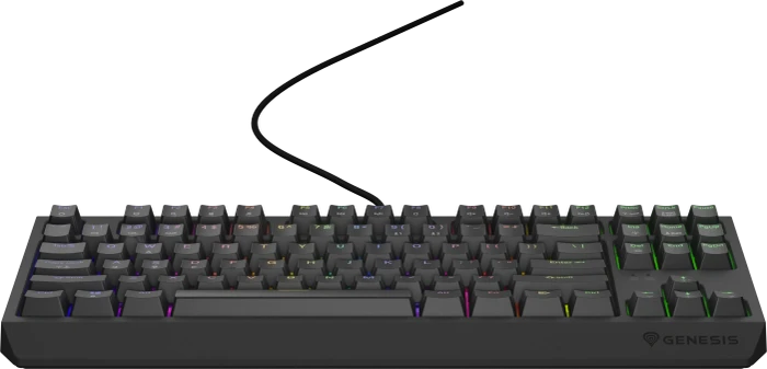Genesis Thor 230 TKL, schwarz, LEDs RGB, hot-swap, Gaote Outemu BROWN, USB, US