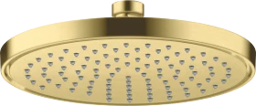 Hansgrohe AXOR ShowerSolutions Kopfbrause 220 1jet brushed brass