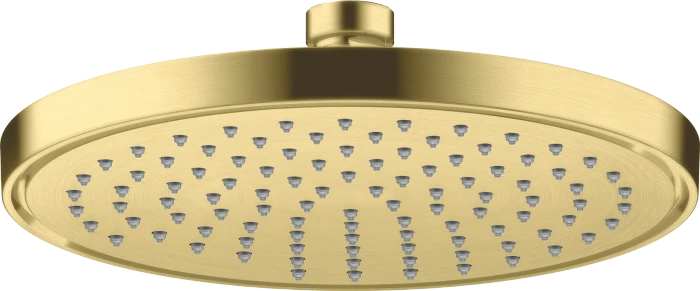 Hansgrohe AXOR ShowerSolutions Kopfbrause 220 1jet brushed brass