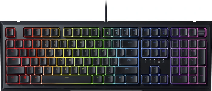 Razer Ornata V2, USB, DE