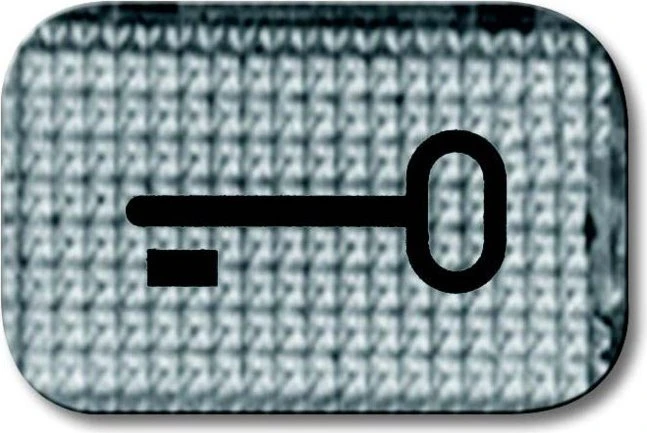 Busch-Jaeger Busch-balance SI Tastersymbol transparent Schlüssel