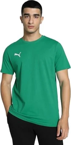 Puma teamGOAL Casuals Funktionsshirt kurzarm sport green/puma white (Herren)