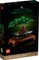 LEGO Botanicals - Bonsai Baum Vorschaubild