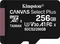 Kingston Canvas Select Plus R100/W85 256GB, UHS-I U3, A1, Class 10 Vorschaubild