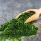 DRAK-Aquaristik Chlorella-Mikroalgenpulver, Dose, 100g Vorschaubild