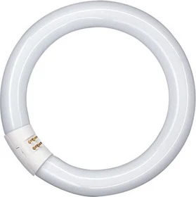 Osram Lumilux T9 22W/840 G10q