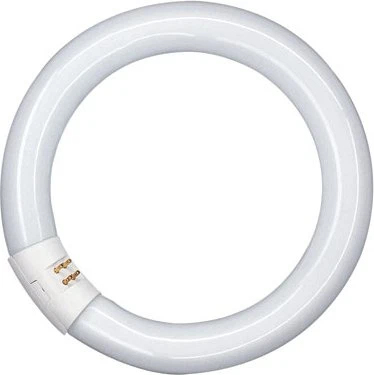 Osram Lumilux T9 22W/840 G10q
