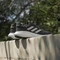 adidas Supernova 3 core black/cloud white (Herren) Vorschaubild