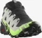 Salomon Speedcross 6 GTX black/alloy/green gecko (Herren) Vorschaubild