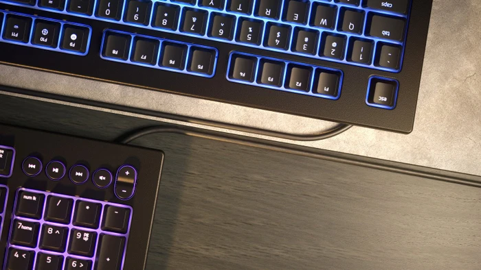 Razer Cynosa V2, USB, IT