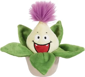 Nici Funny Flowers Pflanze Aloe Vera Willibald 18cm