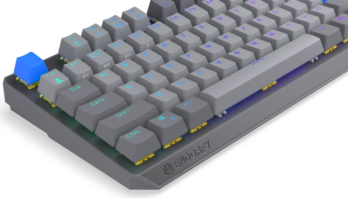 Endorfy Thock V2 TKL Wireless, PBT, grau, LEDs RGB, hot-swap, Endorfy YELLOW, USB/Bluetooth, US