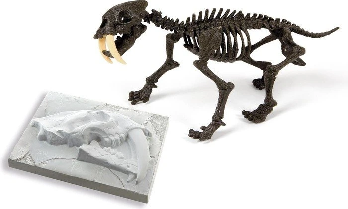 Clementoni Galileo Auf den Spuren des Smilodon