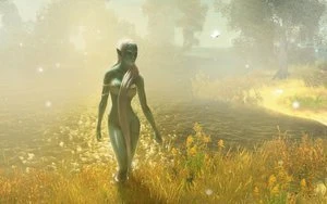 Das Schwarze Auge - Drakensang: Am Fluss der Zeit (PC)