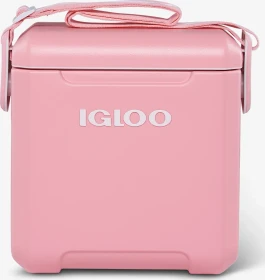 Igloo Tag Along Too Passiv-Kühlbox blush