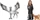 Schleich Wizarding World - Hermine und Krummbein (42635)