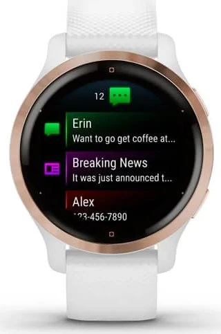 Garmin Venu 2S weiß/rosegold