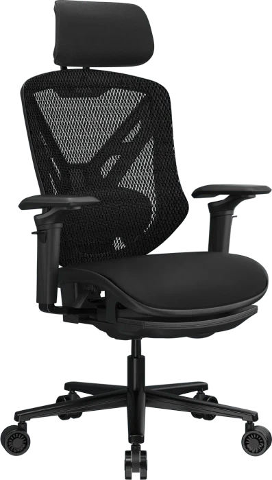 Cougar Speeder Neo CGR-SDN-GRB Gamingstuhl, schwarz