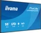 iiyama ProLite LH5564UHS-B1AG, 55" Vorschaubild