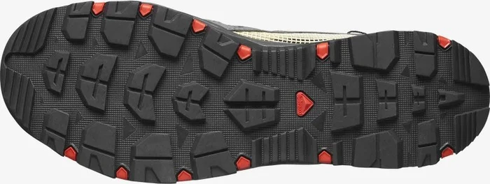 Salomon Techamphibian 5 pewter/moth/fiery red (Herren)