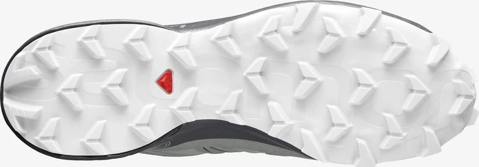 Salomon Speedcross 5 wrought iron/spray/white (Damen)