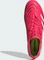 adidas Predator Elite AG lucid red/cloud white/core black Vorschaubild
