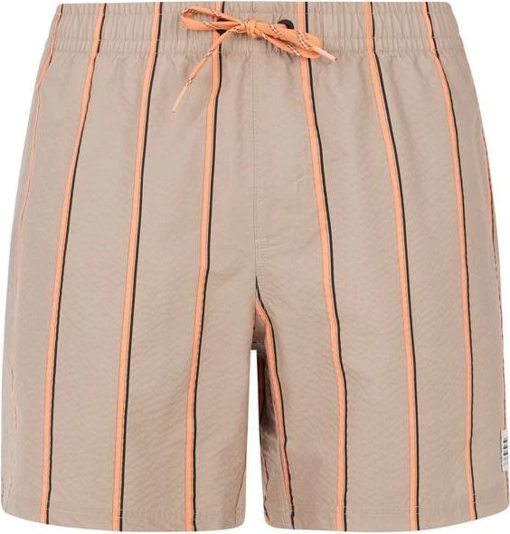 Protest Gonz Badeshorts (Herren)