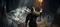 Dark Souls II - Season Pass (Download) (Add-on) (PC) Vorschaubild