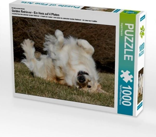 Calvendo Ein Motiv aus dem Kalender Golden Retriever - Ein Herz auf 4 Pfoten