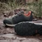 adidas Terrex Agravic BOA Rain.RDY olive strata/semi impact orange/wonder beige (Junior) Vorschaubild