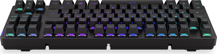 Endorfy Thock TKL Wireless, PBT, LEDs RGB, hot-swap, Kailh Box RED, USB/Bluetooth, DE