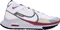 Nike React Pegasus Trail 4 Gore-Tex (Damen) Vorschaubild