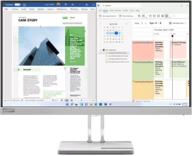 Lenovo L25e-40, 24.5"