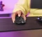 Trust Gaming GXT 929 Helox Wireless, schwarz, USB Vorschaubild