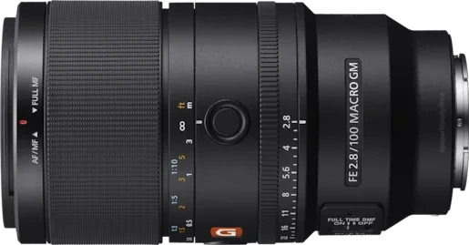 Sony FE 100mm 2.8 Makro GM OSS