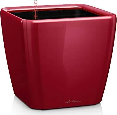 Lechuza Quadro LS 50 All-in-One Set scarlet rot hochglanz