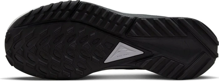 Nike React Pegasus Trail 4 Gore-Tex black/reflect silver/wolf grey (Herren)