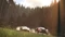 The Crew (Xbox One/SX) Vorschaubild