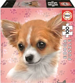 Educa Chihuahua