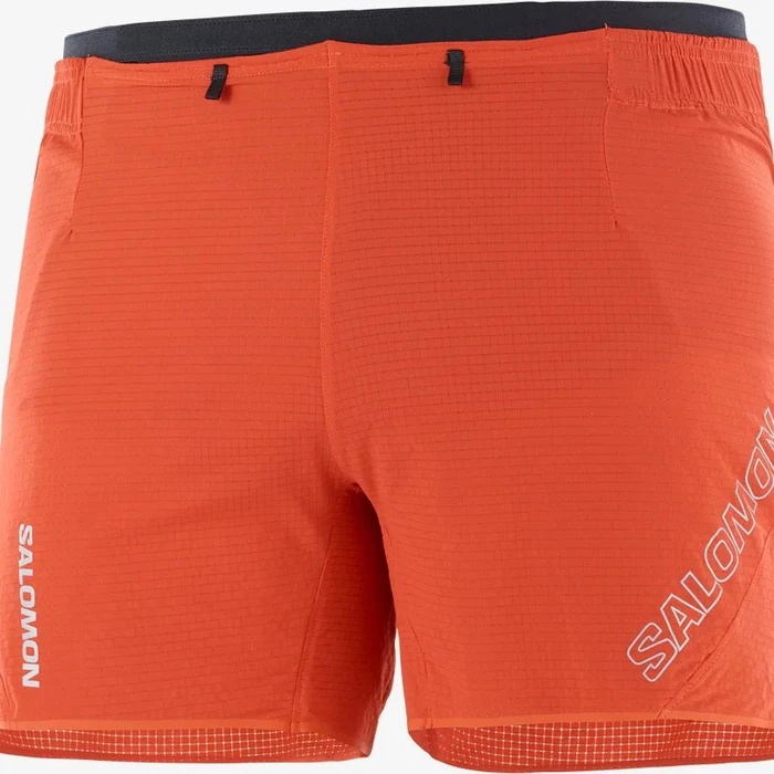 Salomon Sense Aero 5 Hose kurz (Herren)