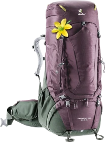 Deuter Aircontact Pro 65+15 SL aubergine/ivy (Damen)